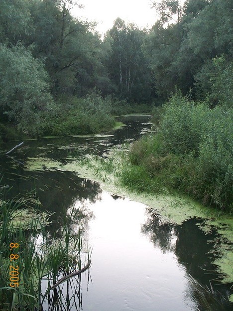 Дамба-3