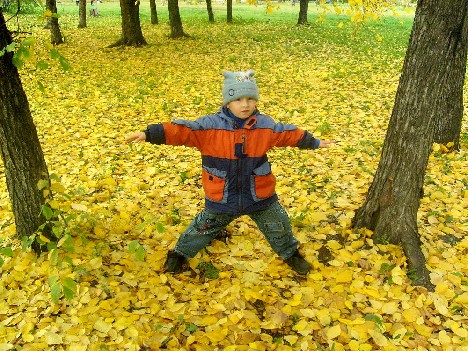 Золото рассыпалось по парку