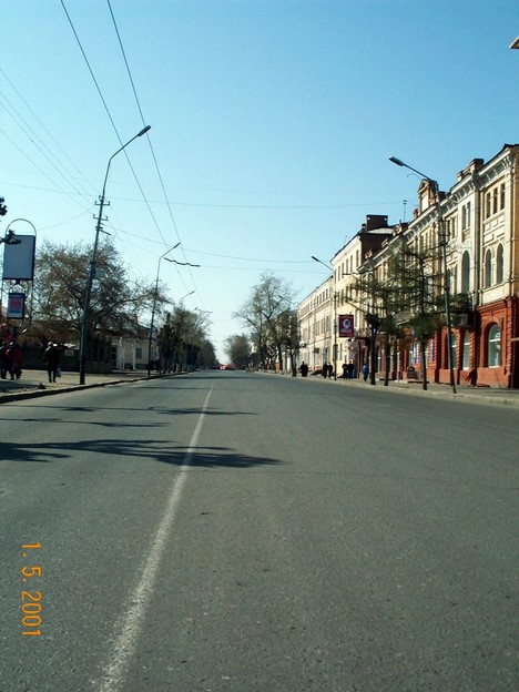 Кто шагает дружно в ряд?...