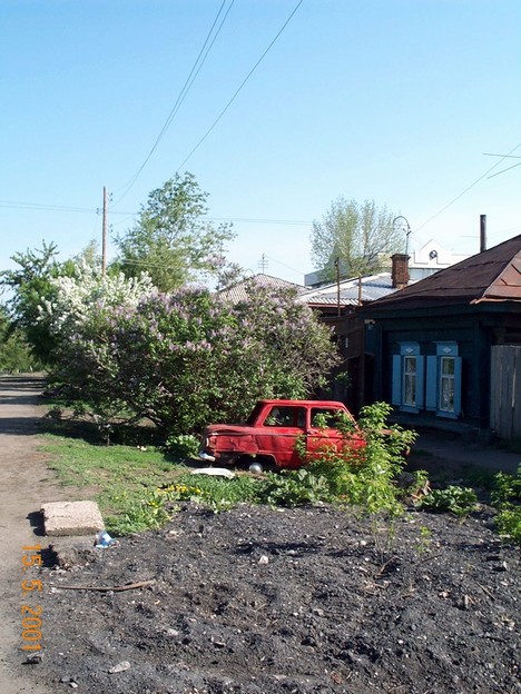 Подснежники расцвели