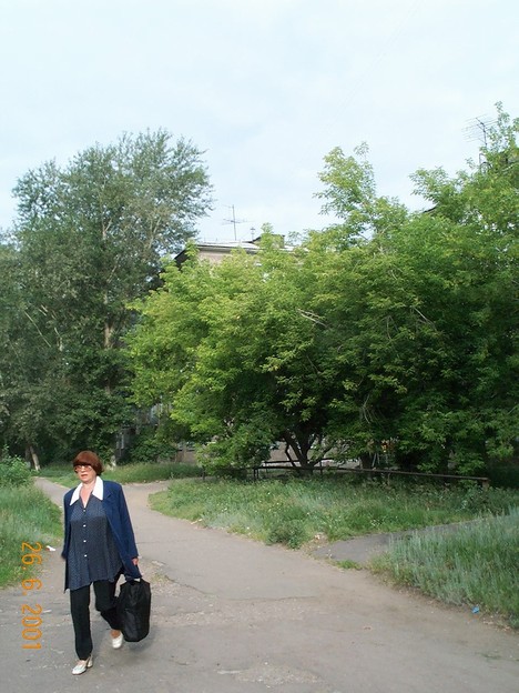 Дома за деревьями
