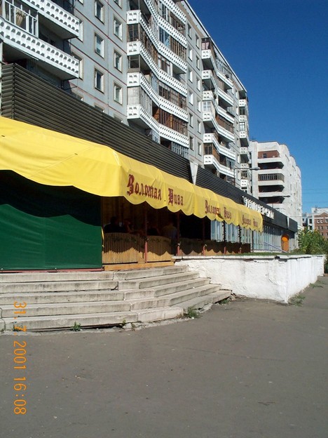 Золотая нива