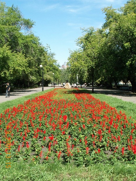 Клумба, которая ведет к фонтану