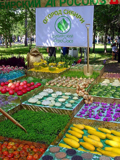 Сибирский Огород Интернет Магазин