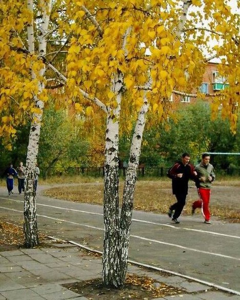 Осенний марафон