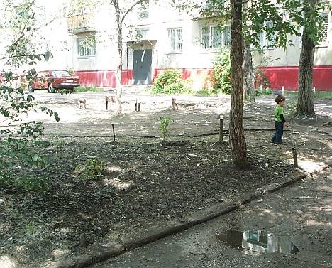 Газон-2. Поливальщик