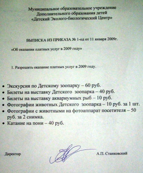 Пони - тоже кони