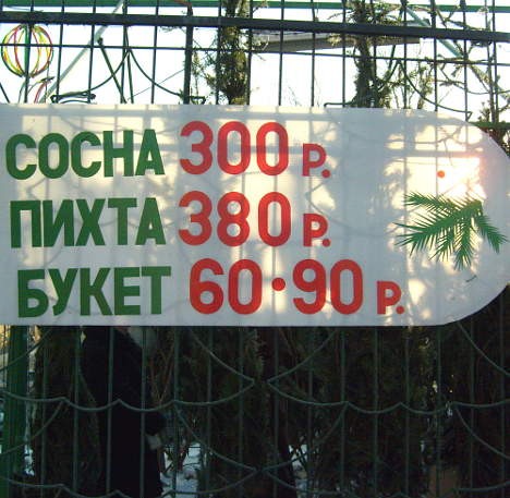 Цена пихты в Омске