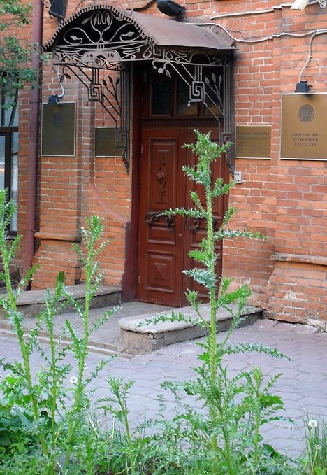 У Казахстанского консульства