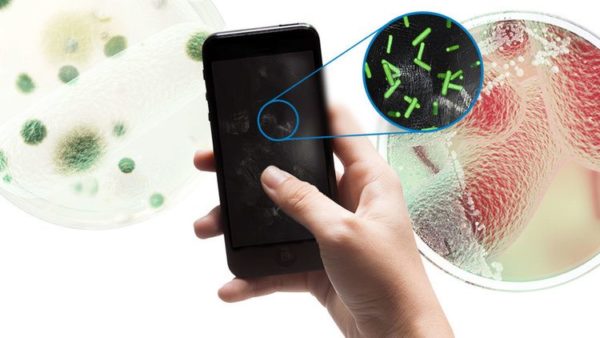 бактерии и вирусы на смартфоне