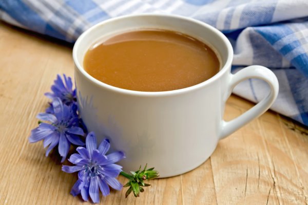 depositphotos 57964185 stock photo chicory drink in white cup