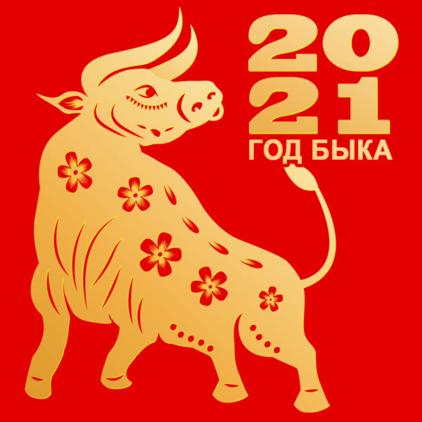 2021 год быка